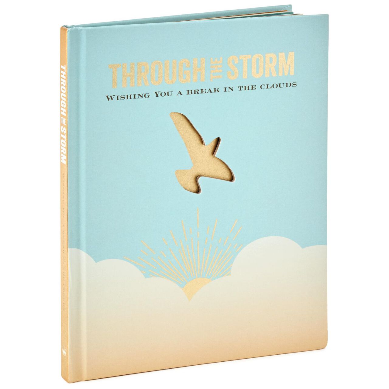 Through the Storm: Wishing You a Break in the Clouds Book, , large image number 0