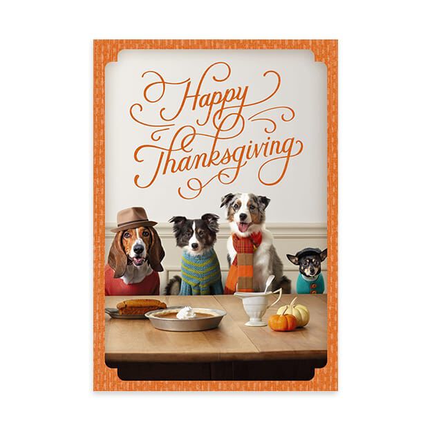 Dressed Up Dogs Thanksgiving Card
