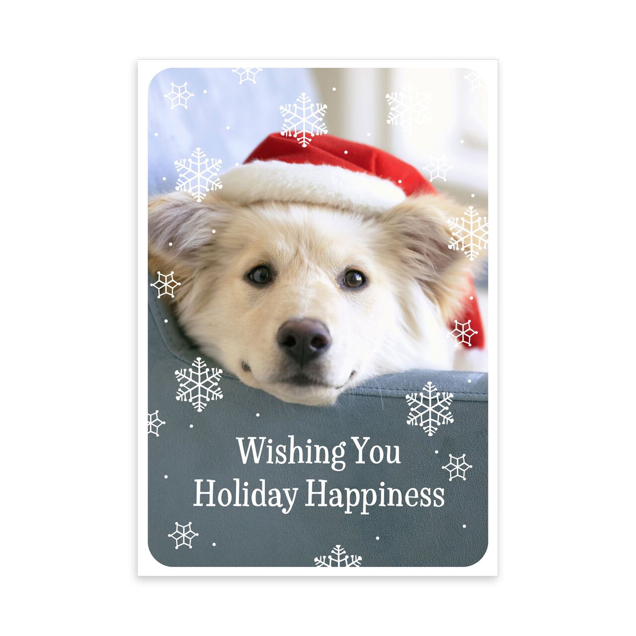 Happy Santa Pup Holiday Card image number 0