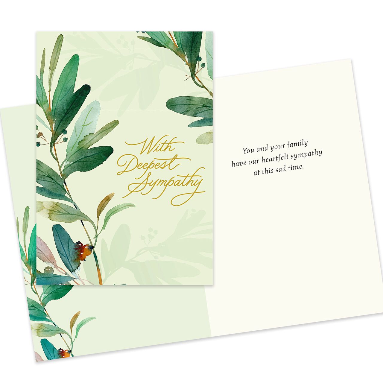 Quiet Condolences Assorted Sympathy Cards 25 Pack image number 3