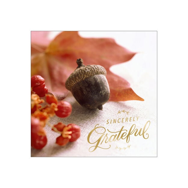 Sincerely Grateful Acorn and Berries Thanksgiving Card