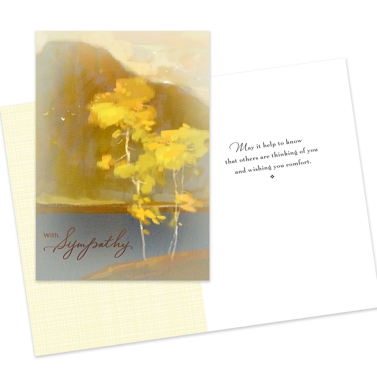Assorted Sympathy & Thinking of You Cards 25 Pack image number 5