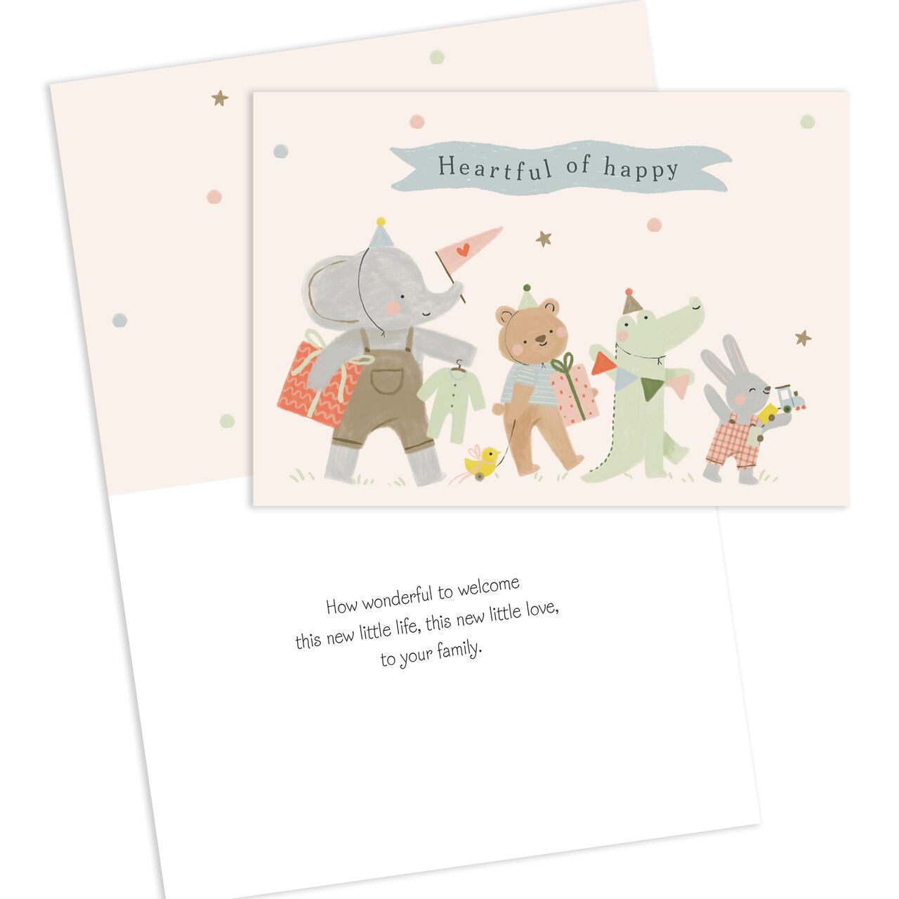 Baby, Adoption, Grandbaby Assorted Cards 25 Pack image number 4