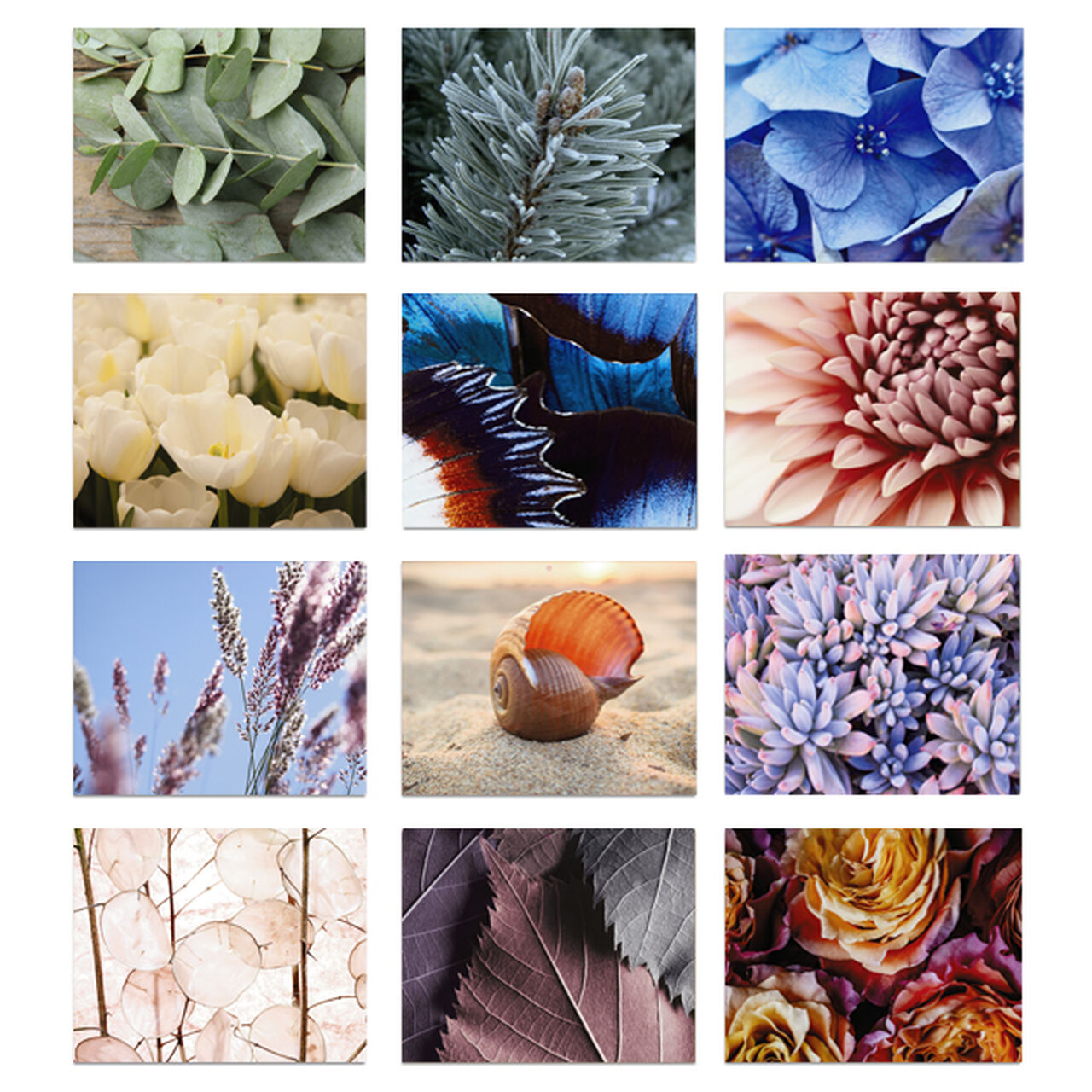 Macro Photography 2025 Wall Calendar image number 2
