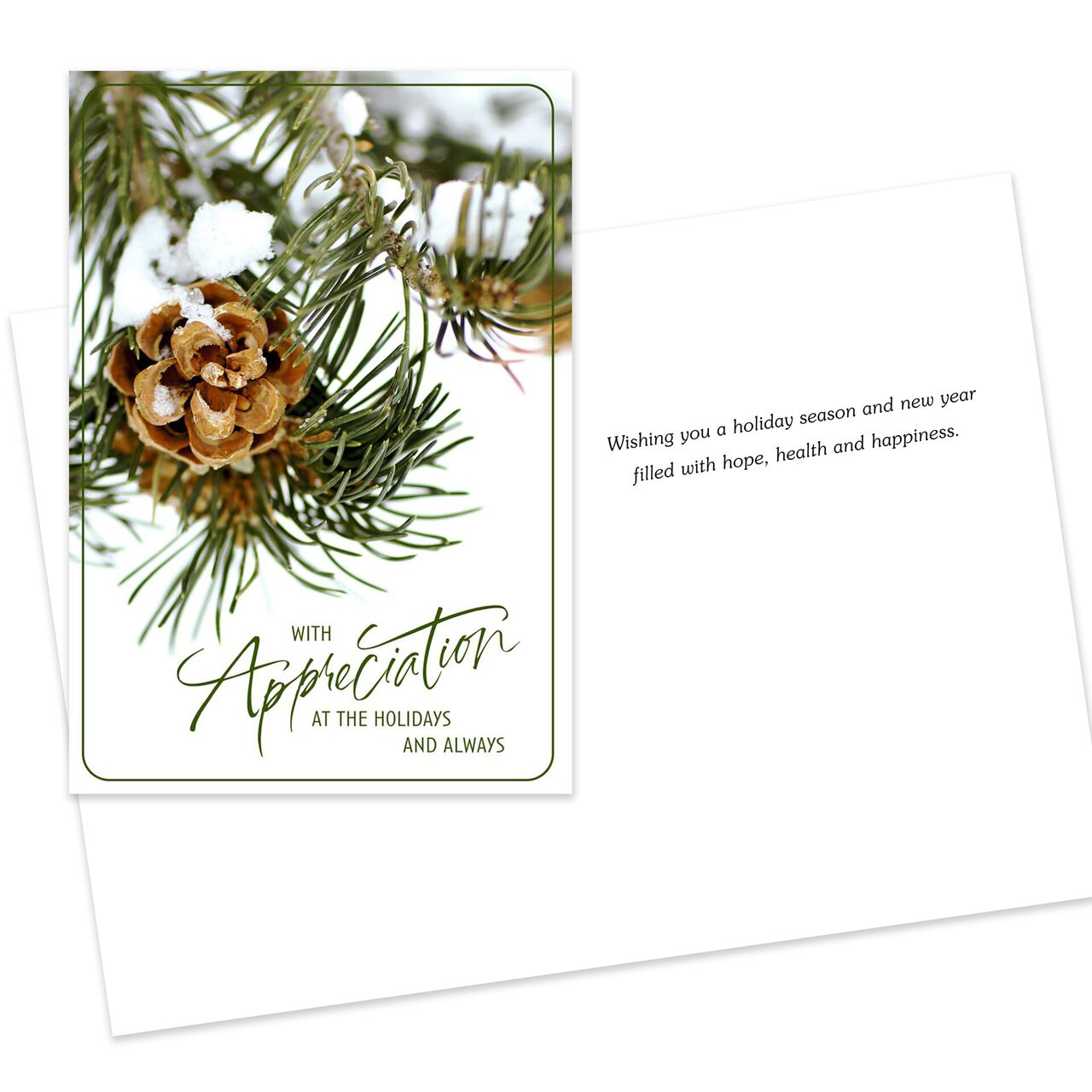 Season's Greetings Assorted Happy Holidays Cards 25 Pack image number 5