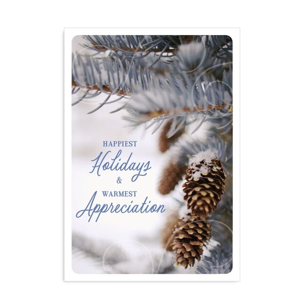 Warmest Appreciation Pinecones Holiday Card