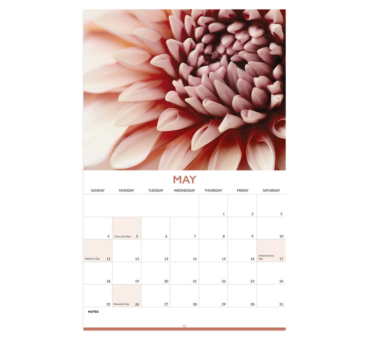 Macro Photography 2025 Wall Calendar image number 7