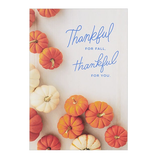 Pumpkin Collection Fall Appreciation Card