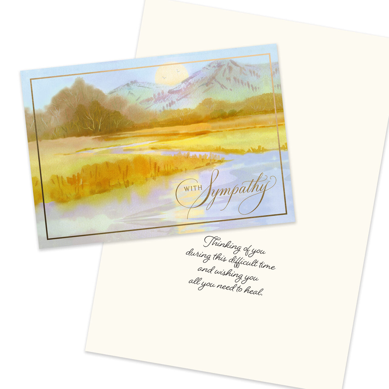 Quiet Condolences Assorted Sympathy Cards 25 Pack image number 5