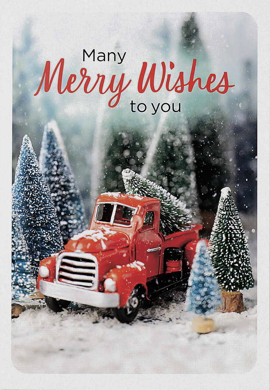 Playful Winter Scene Holiday Card