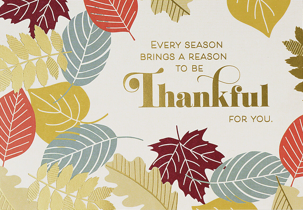 Every Season Thankful Thanksgiving Cards
