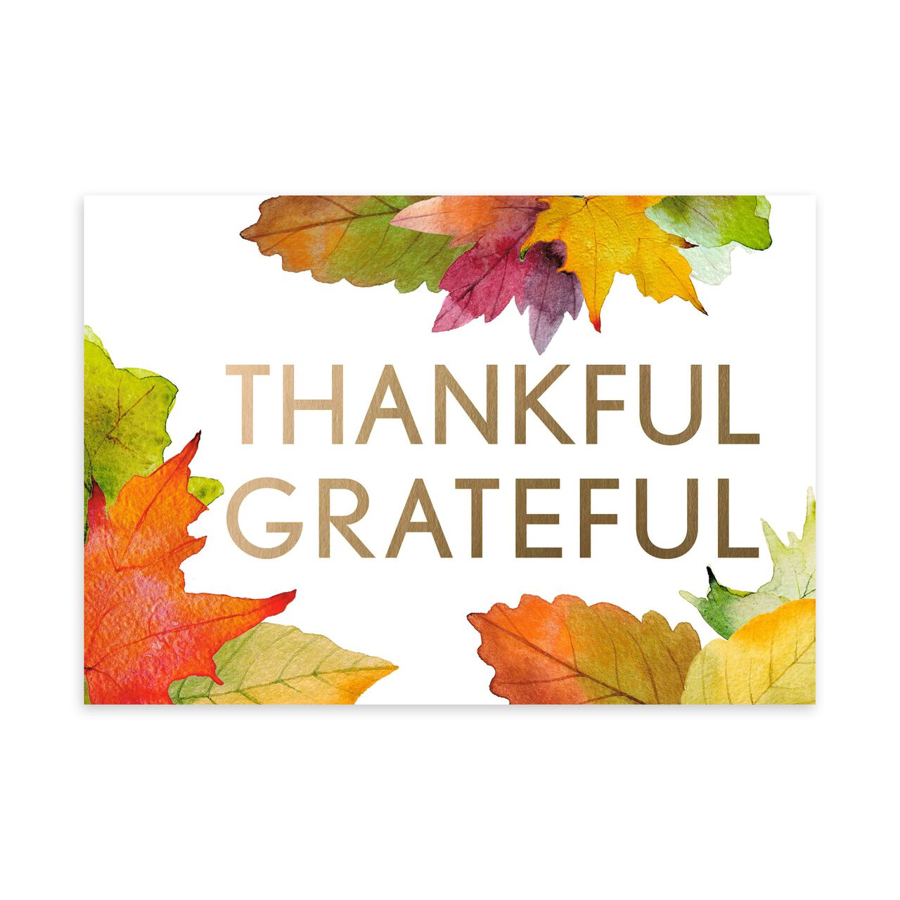Thankful, Grateful in Gold Thanksgiving Card image number 0