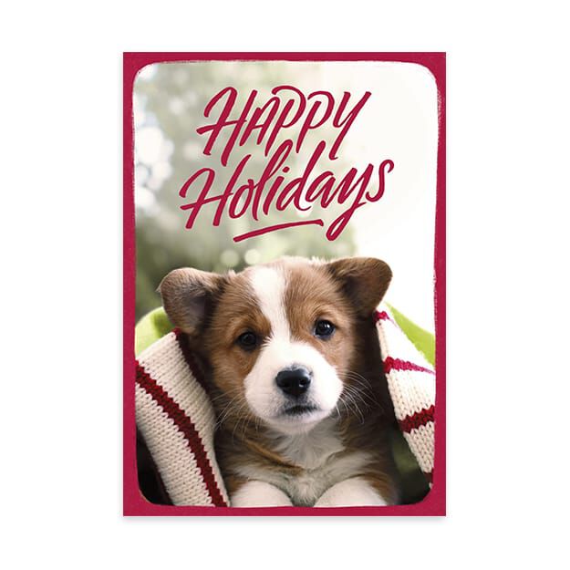 Puppy in Knit Blanket Happy Holidays Card