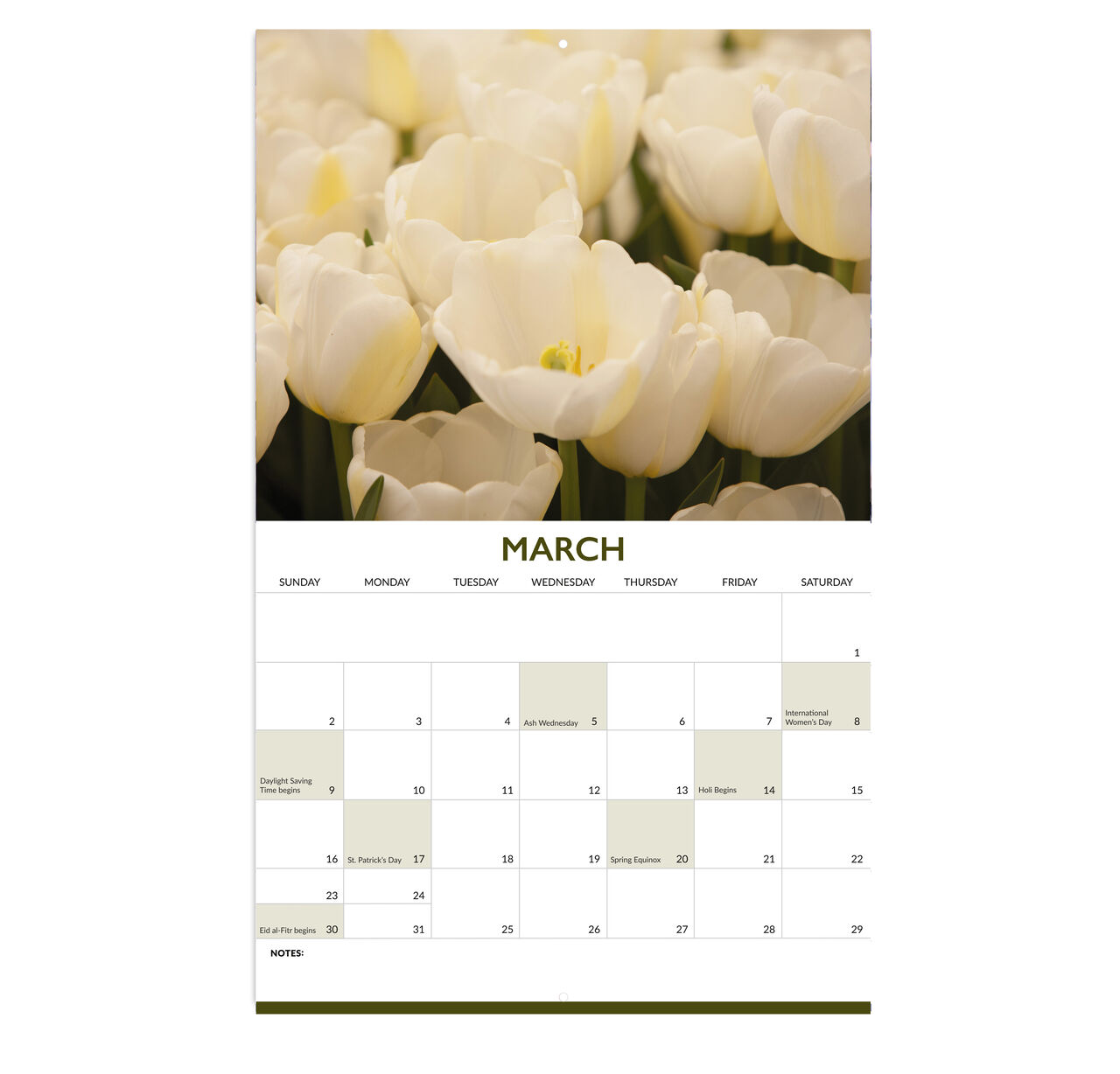 Macro Photography 2025 Wall Calendar image number 6