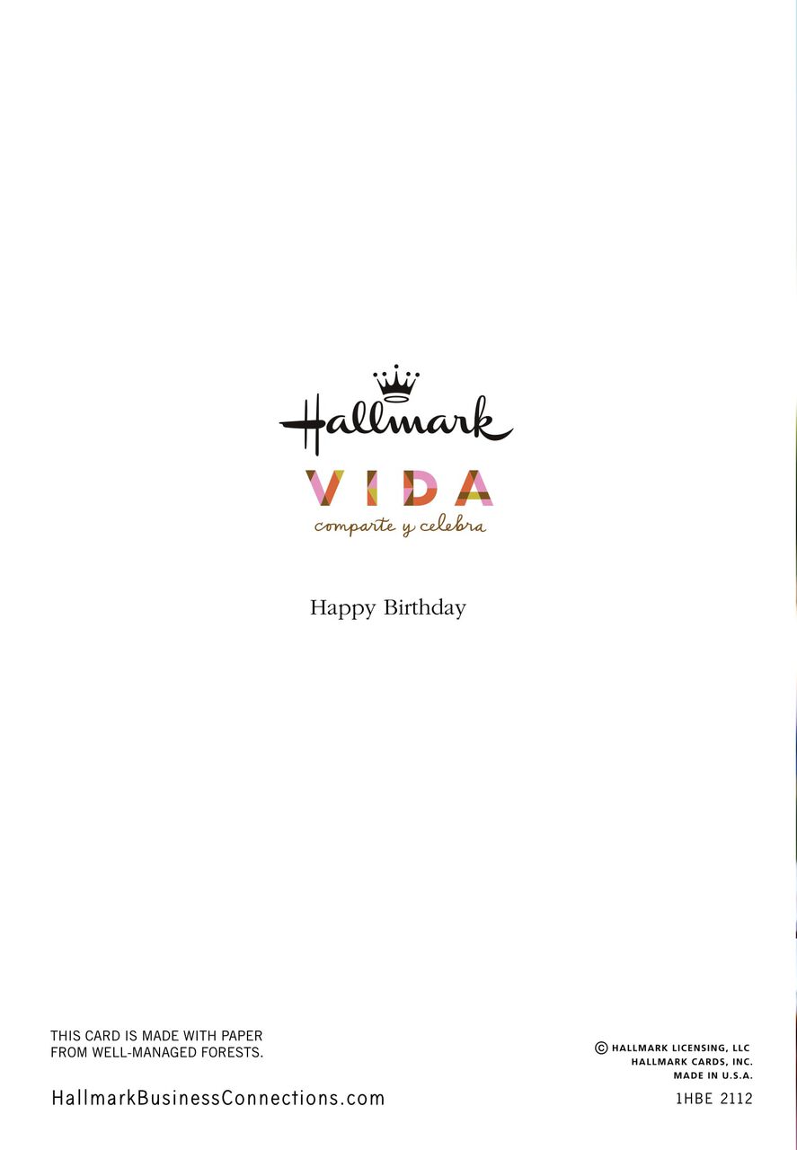 Feliz Cumpleaños & Chocolate Cake Spanish Birthday Card