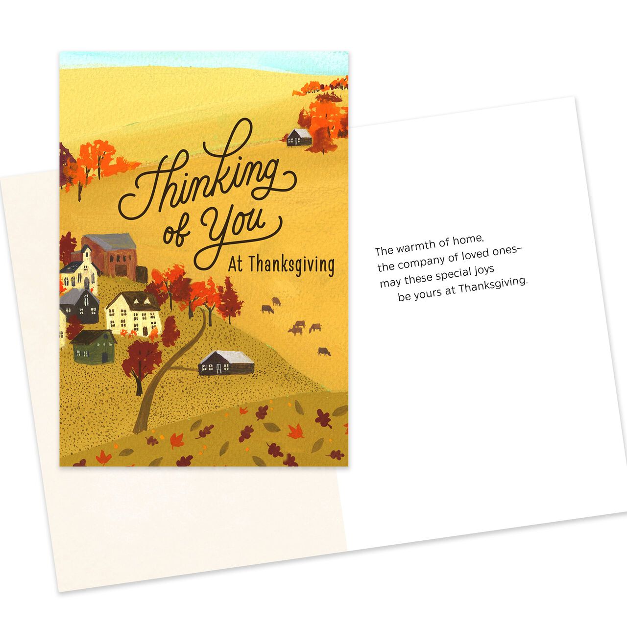 Appreciation & Thanks Assorted Thanksgiving Cards 10 Pack image number 4