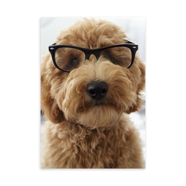 Dog in Glasses Father's Day Card