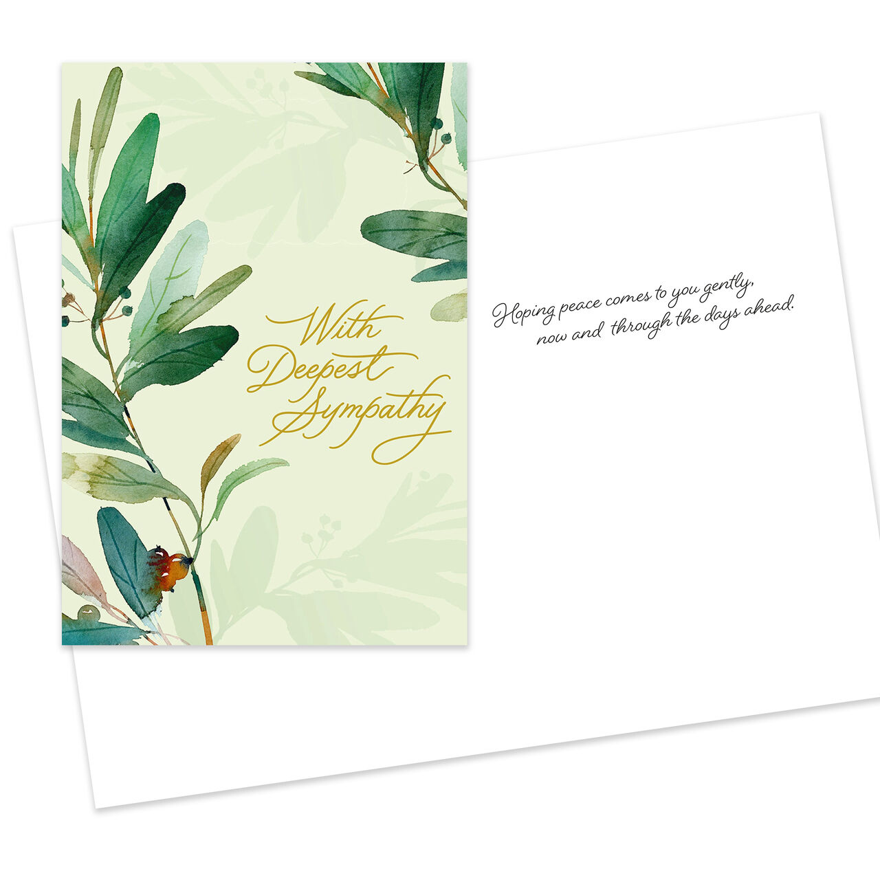 Assorted Encouragement, Get Well & Sympathy Cards 50 Pack image number 2
