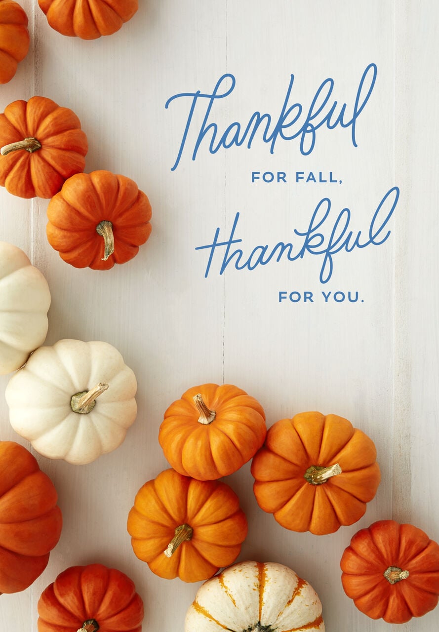 Pumpkin Collection Fall Appreciation Card