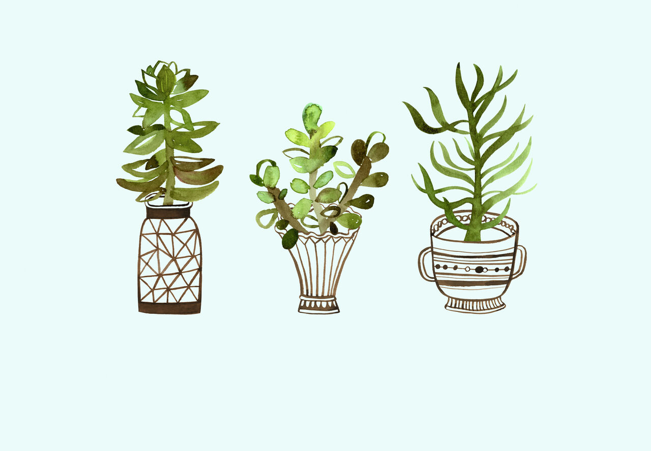 Plants in Pots Just Because Card