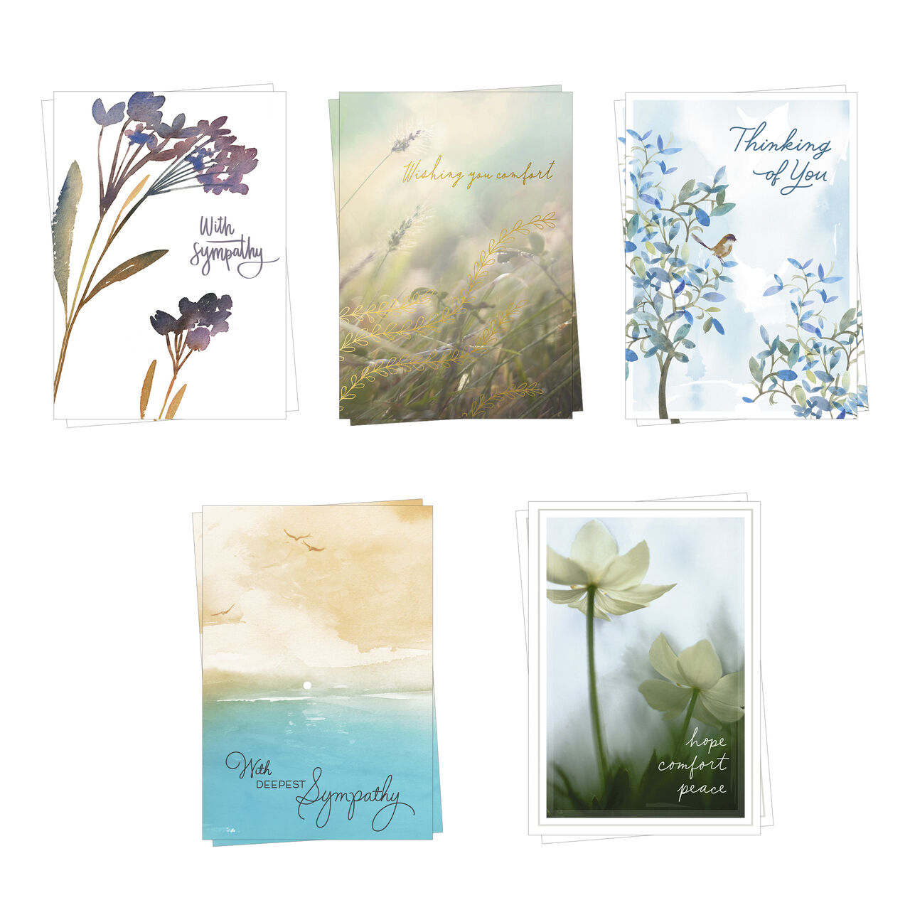 Thinking of You and Sympathy Assorted Cards 10 Pack image number 0