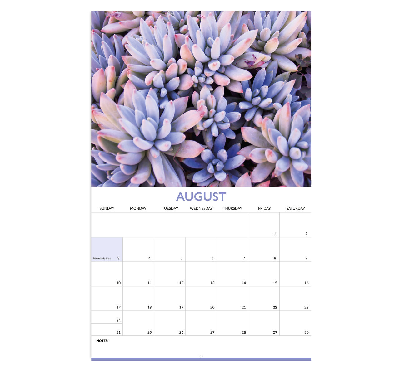 Macro Photography 2025 Wall Calendar image number 3
