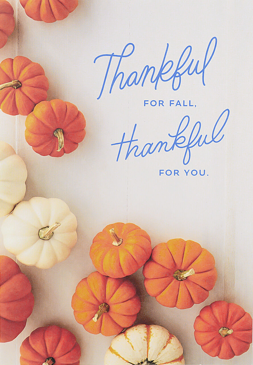 Pumpkin Collection Fall Appreciation Card