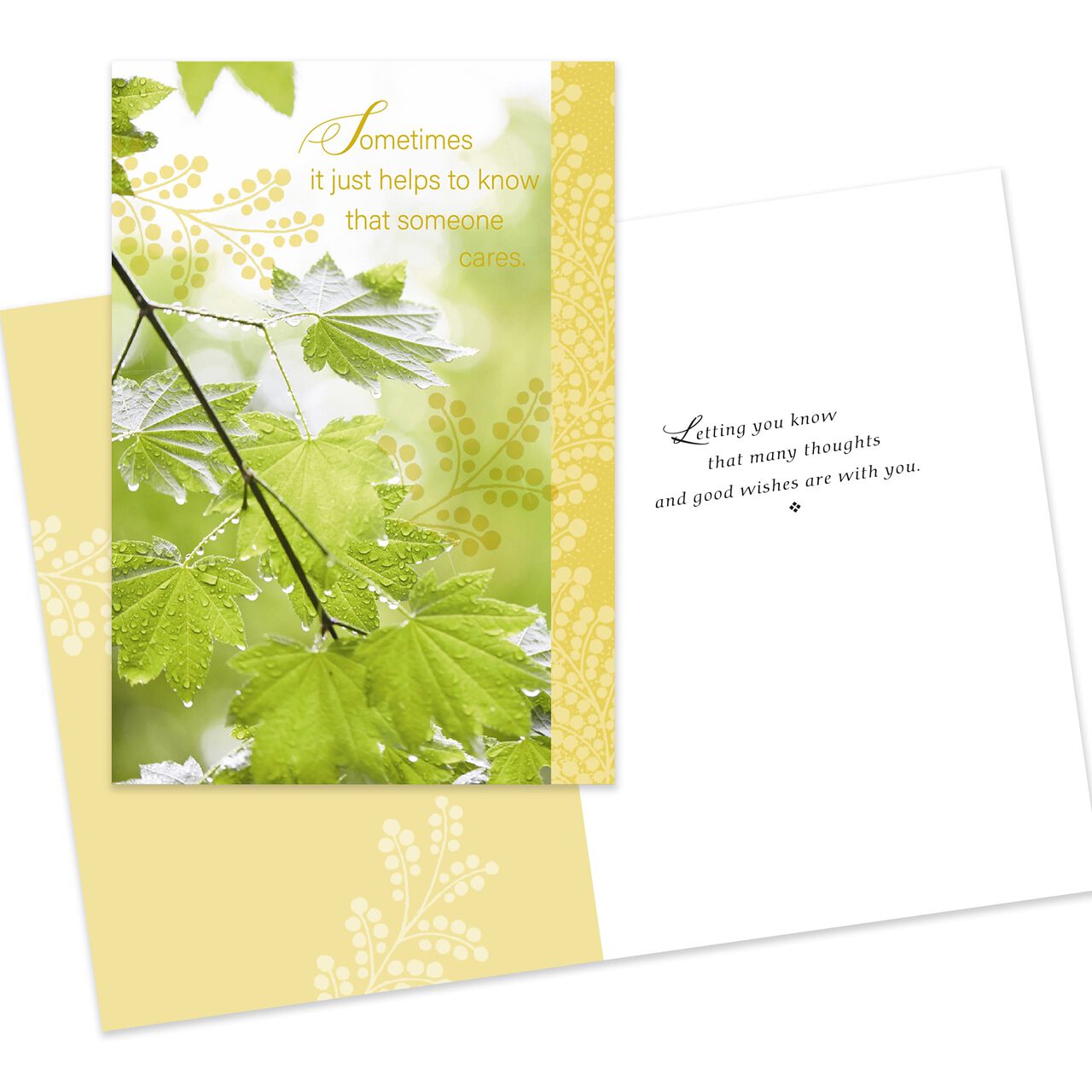 Encouraging Thoughts Assorted Thinking of You Cards 25 Pack image number 4