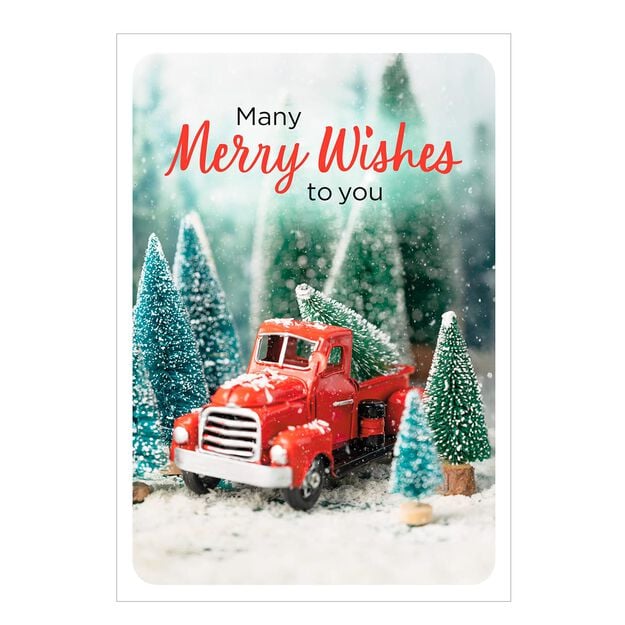 Playful Winter Scene Holiday Card
