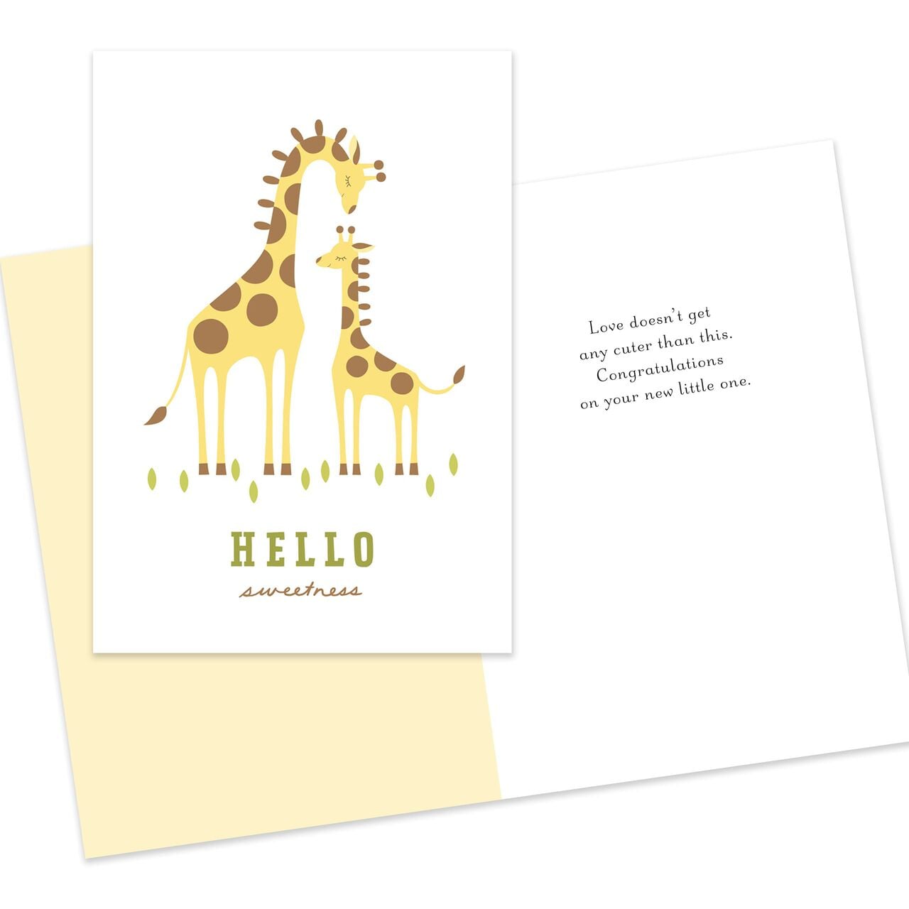 Starter Kit Assorted Greeting Cards 50 Pack image number 15