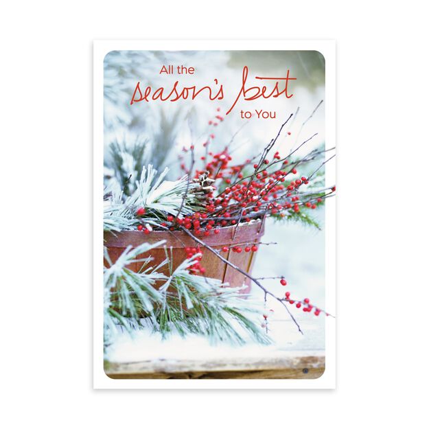 Evergreen & Berries Season's Best Holiday Card