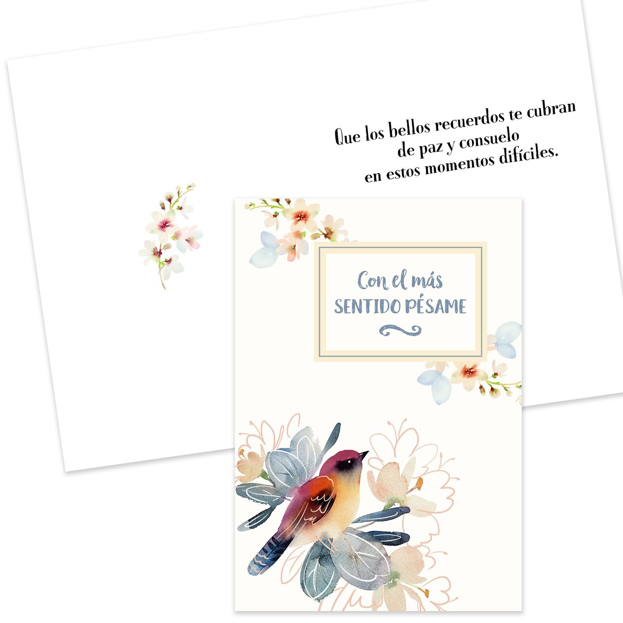 Spanish All Occasion Starter Kit Assorted Cards 50 Pack image number 11