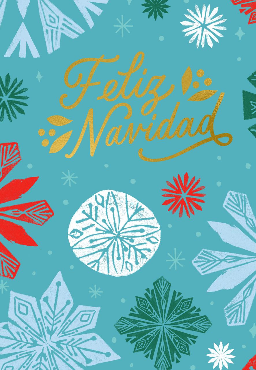 Shining Feliz Navidad Spanish Christmas Card