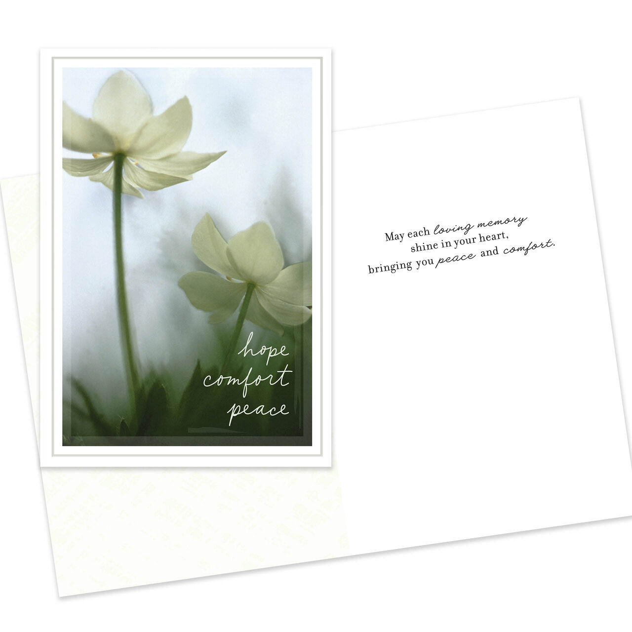 Thinking of You and Sympathy Assorted Cards 10 Pack image number 3