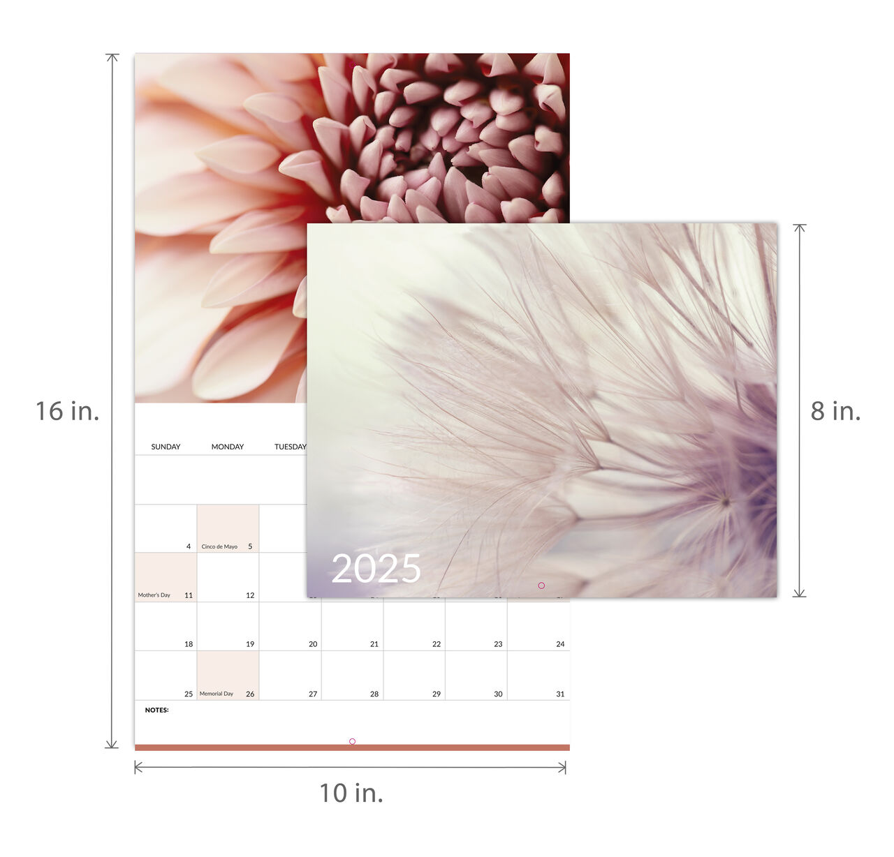 Macro Photography 2025 Wall Calendar image number 5