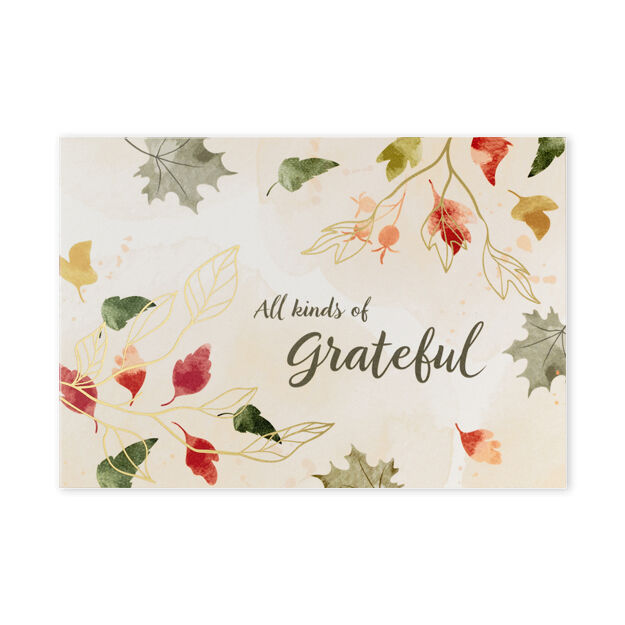 All Kinds of Grateful Thanksgiving Cards