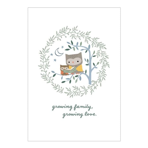 Owls Reading New Baby Card