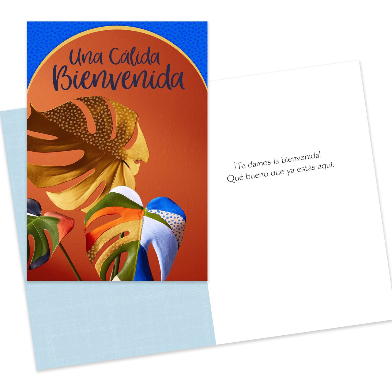Spanish All Occasion Starter Kit Assorted Cards 50 Pack image number 13