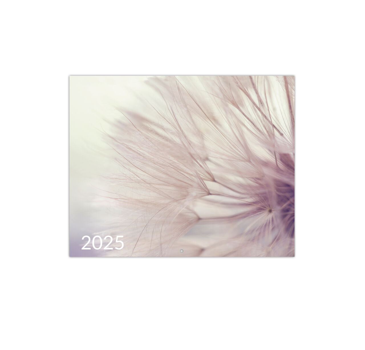 Macro Photography 2025 Wall Calendar image number 4