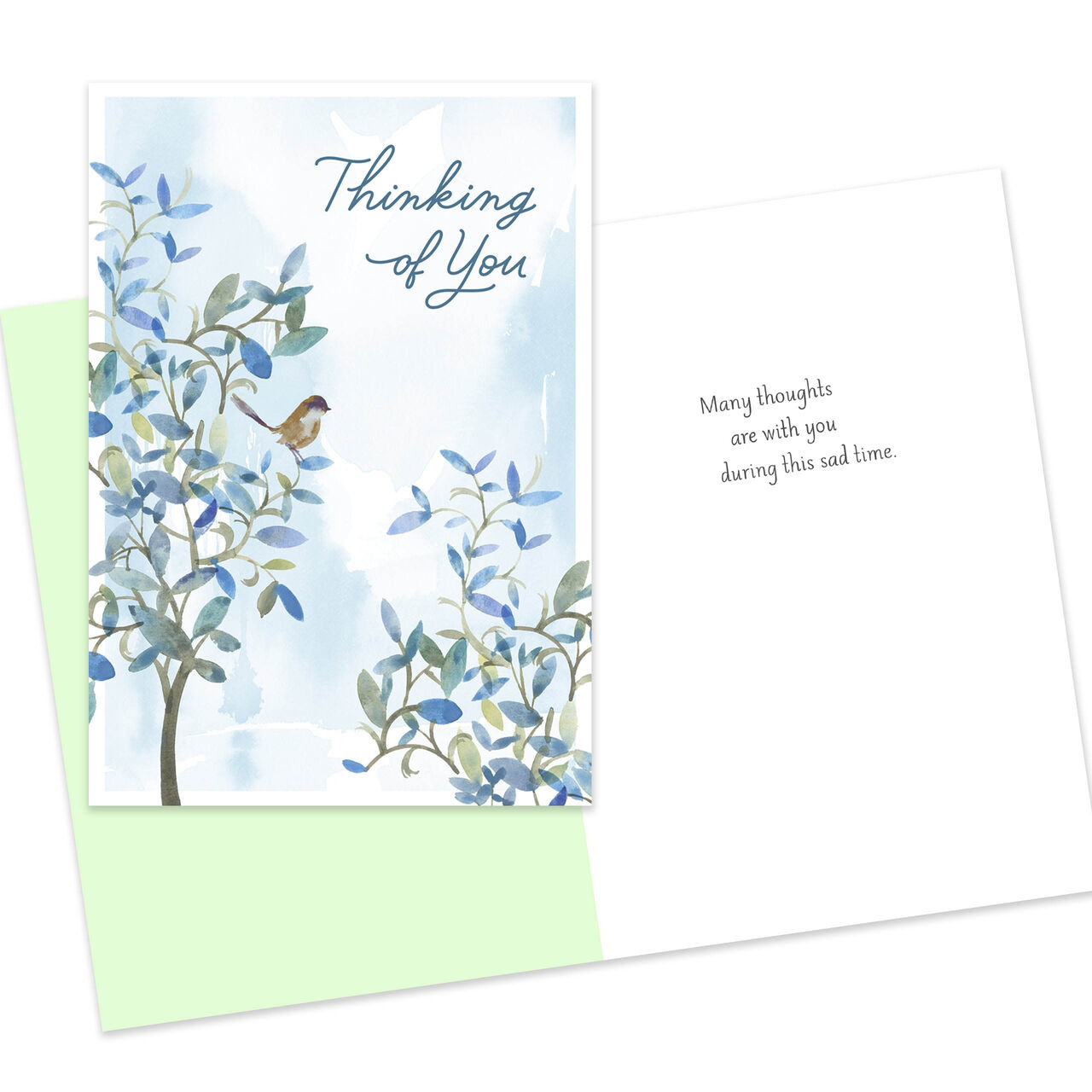 Thinking of You and Sympathy Assorted Cards 10 Pack image number 4