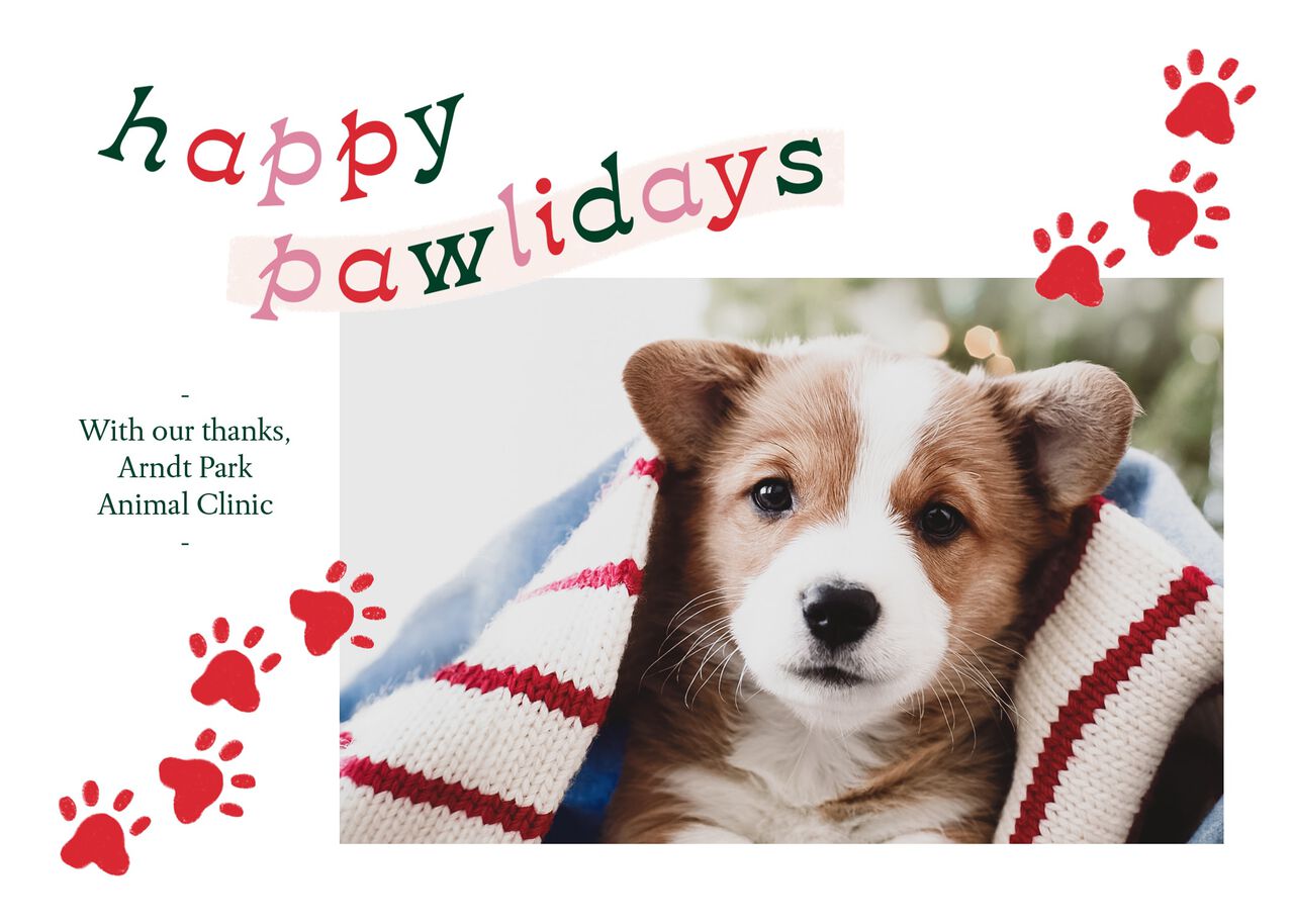 Happy Pawlidays Holiday Photo Card