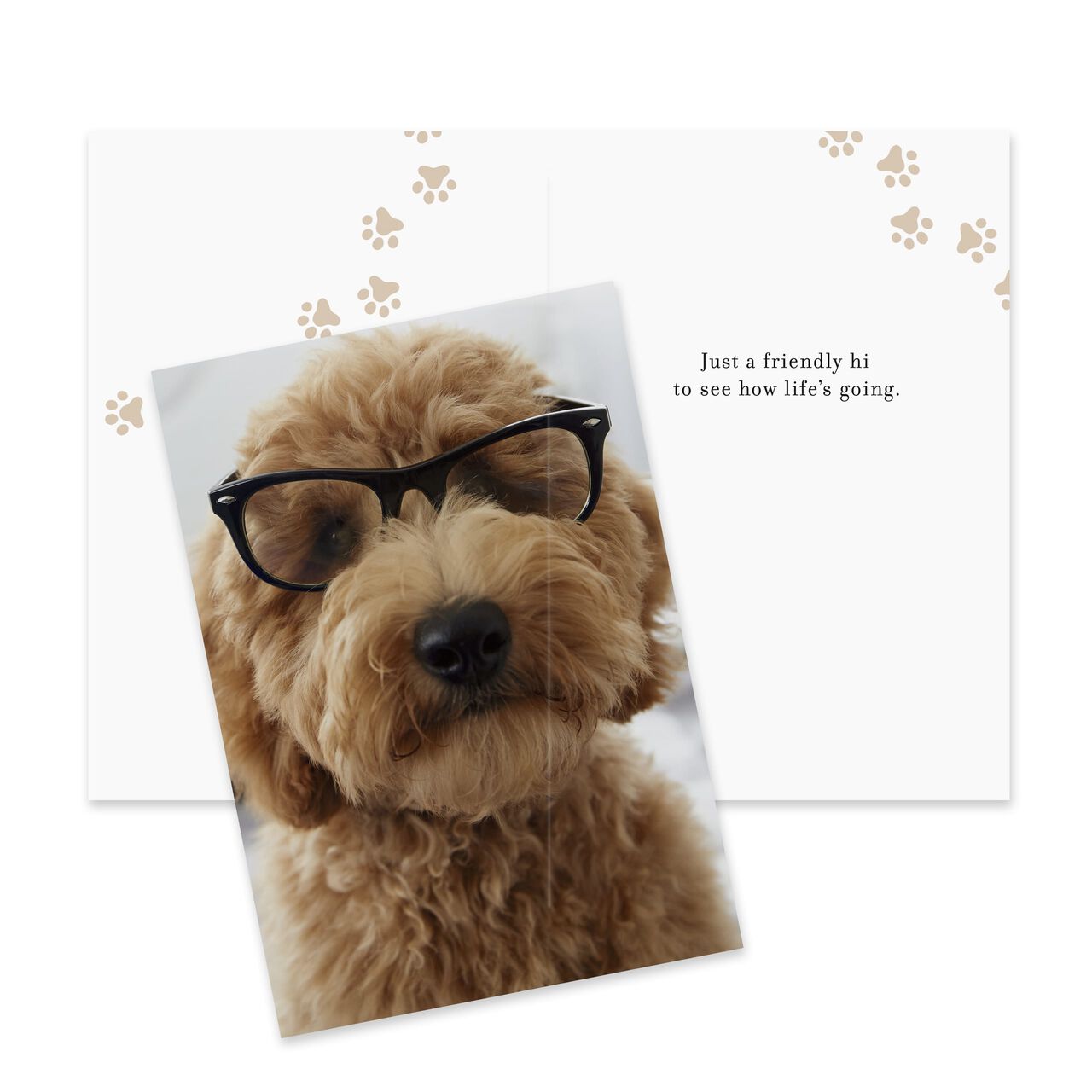 Starter Pack Assorted Life Event Cards 75 Pack image number 2
