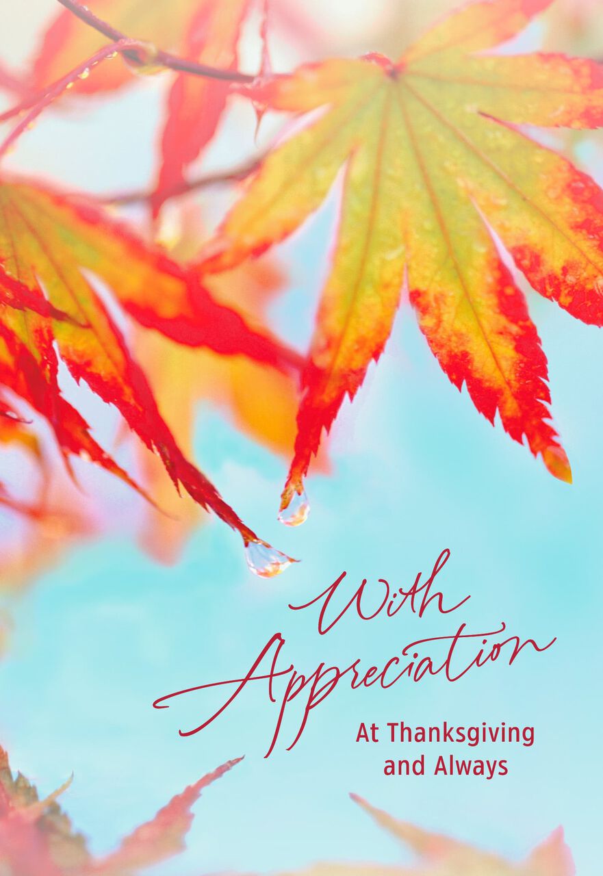 Red Fall Leaves Thanksgiving Card