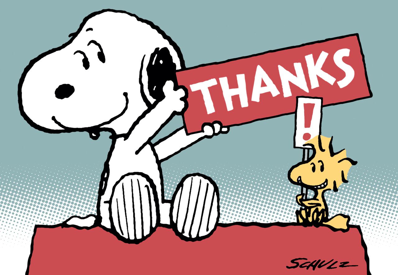 Peanuts Snoopy Woodstock Thank You Card Hallmark Business