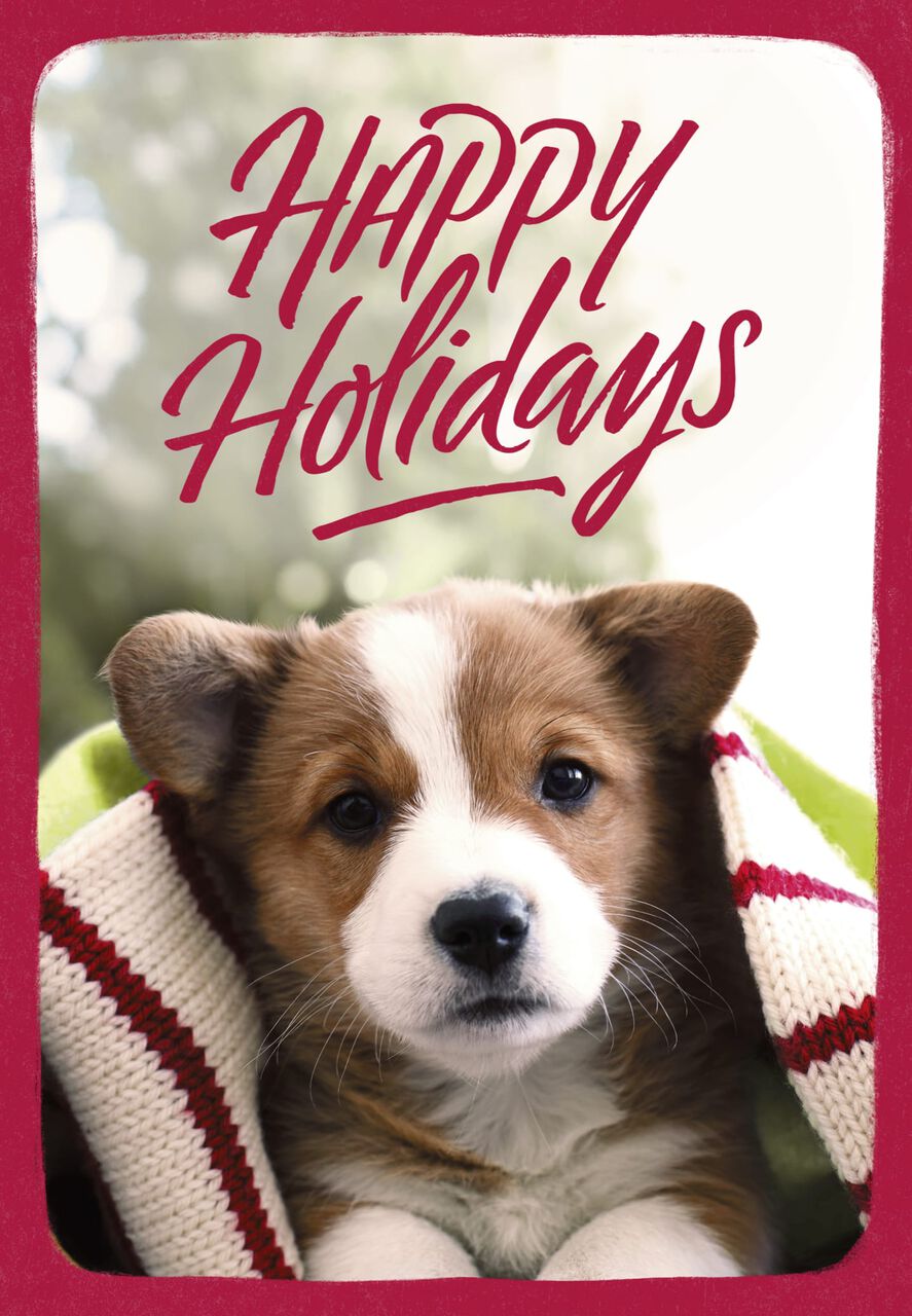 Puppy in Knit Blanket Happy Holidays Card