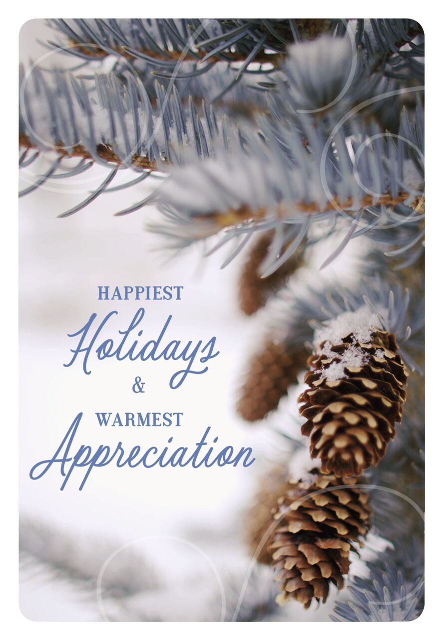 Warmest Appreciation Pinecones Holiday Card
