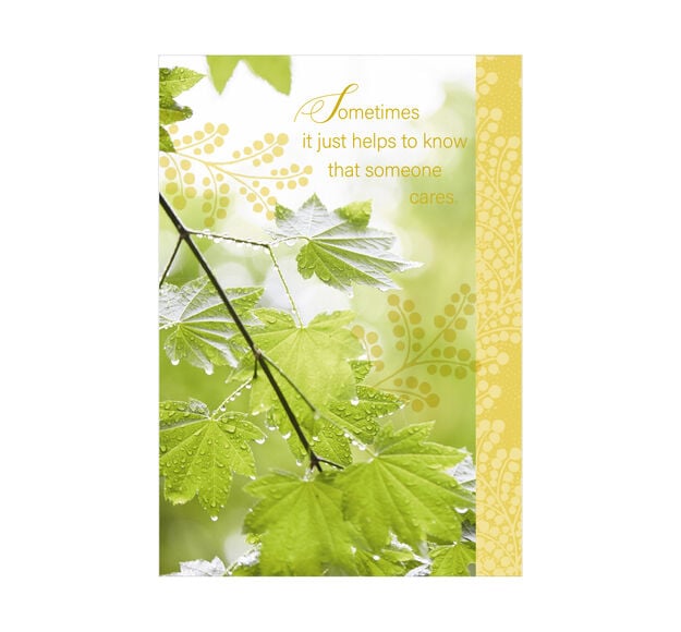 Peaceful Maple Thinking of You Card