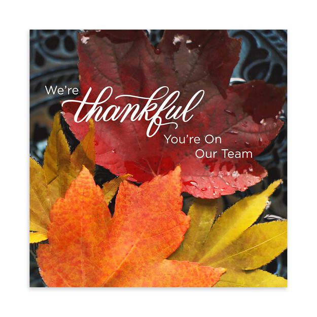 Thankful Team Thanksgiving Card