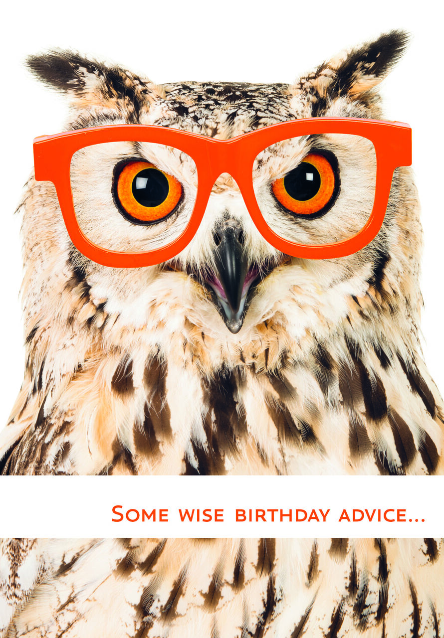 Owl in Glasses Funny Birthday Card