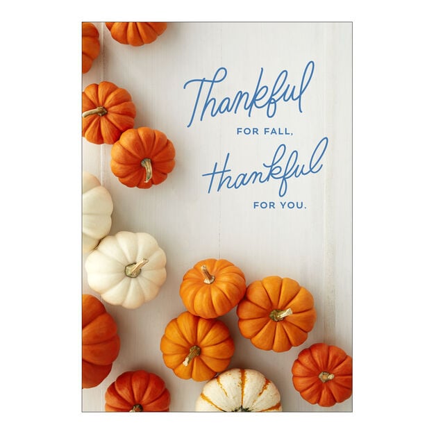Pumpkin Collection Fall Appreciation Card